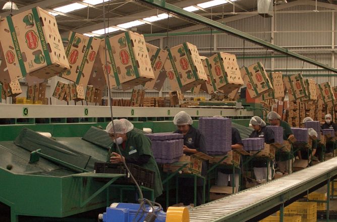 スピーディな輸送