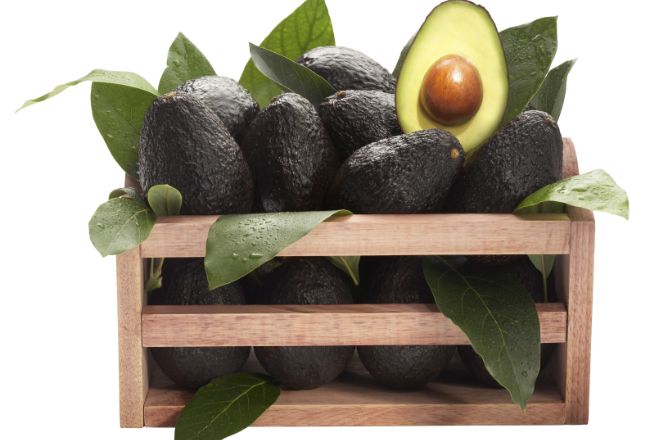 完璧な果樹の栽培と収穫