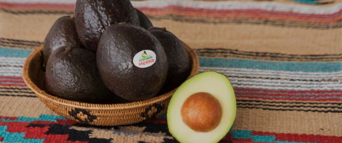 メキシコ産アボカドについて