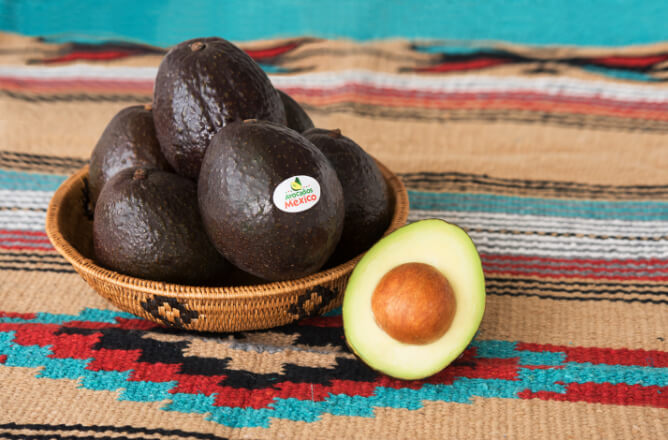 メキシコは世界最初のアボカドの生産地