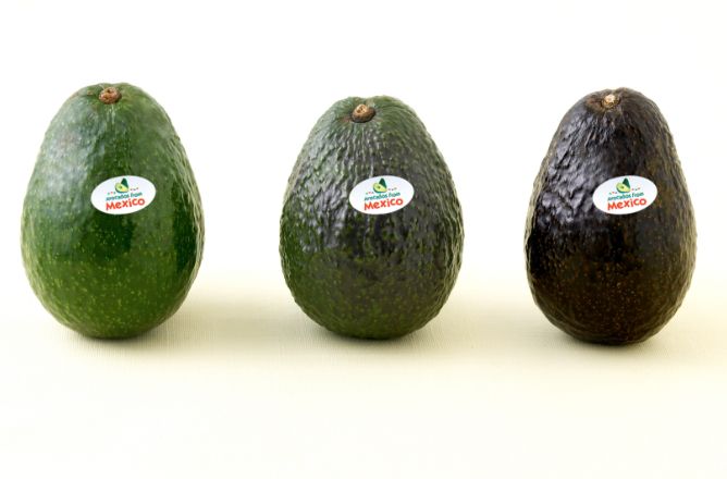 アボカドの選び方