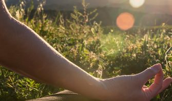 糖尿病に効果あり!? アボカドの不飽和脂肪酸や食物繊維で健康効果