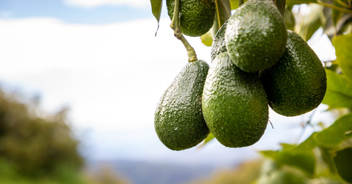 伝統から明日を見つめて 