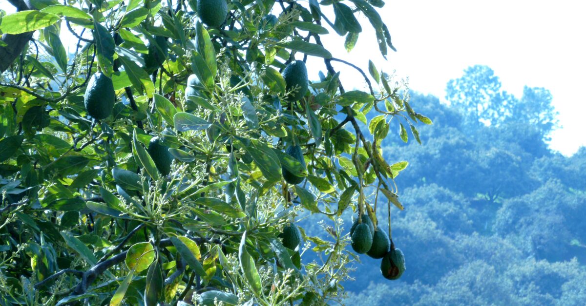 戦略的なビジョン