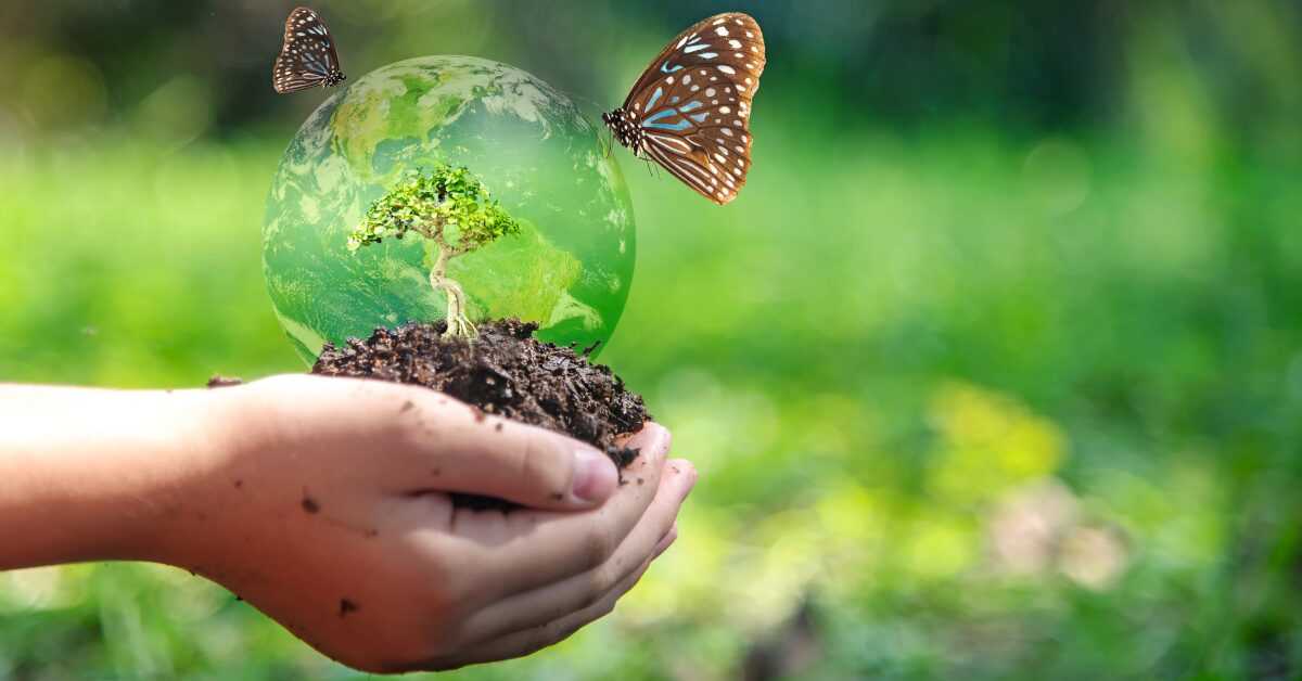 アボカド産業―サステナビリティへの道のりー